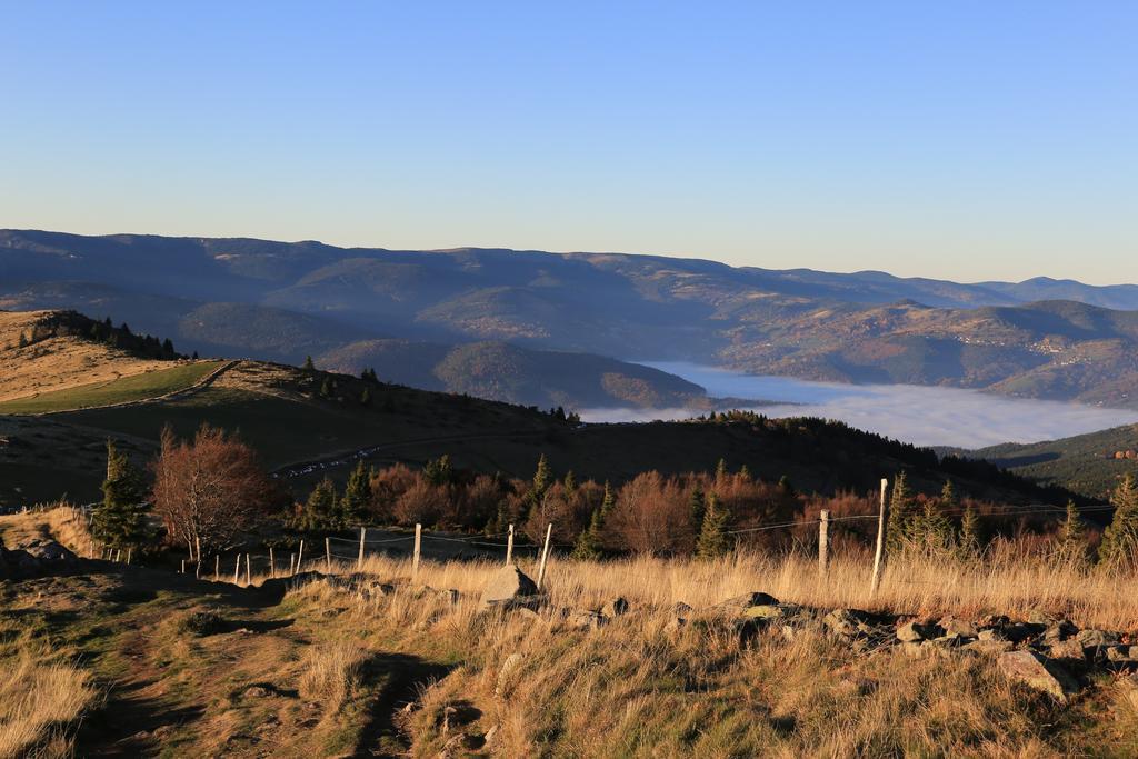 Le Holzberg Et Ses Suites Osenbach Exterior foto